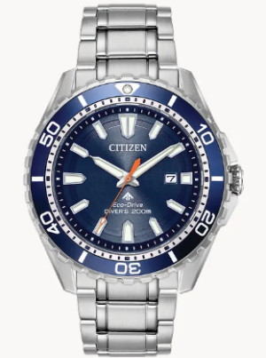 DiveWatch.png DiveWatch.png